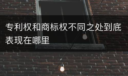 专利权和商标权不同之处到底表现在哪里