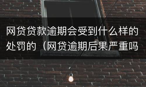 网贷贷款逾期会受到什么样的处罚的（网贷逾期后果严重吗）