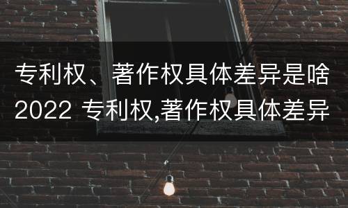 专利权、著作权具体差异是啥2022 专利权,著作权具体差异是啥2022年的