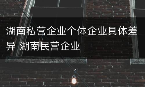 湖南私营企业个体企业具体差异 湖南民营企业