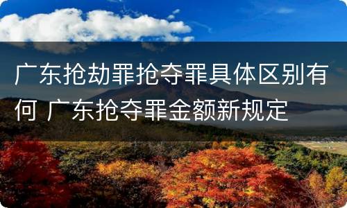 广东抢劫罪抢夺罪具体区别有何 广东抢夺罪金额新规定