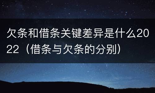 欠条和借条关键差异是什么2022（借条与欠条的分别）