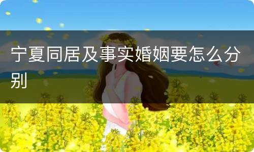 宁夏同居及事实婚姻要怎么分别