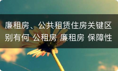 廉租房、公共租赁住房关键区别有何 公租房 廉租房 保障性住房区别