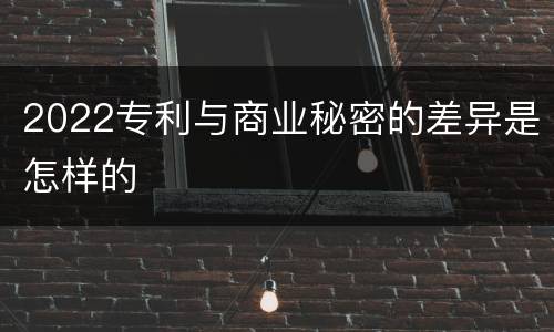 2022专利与商业秘密的差异是怎样的