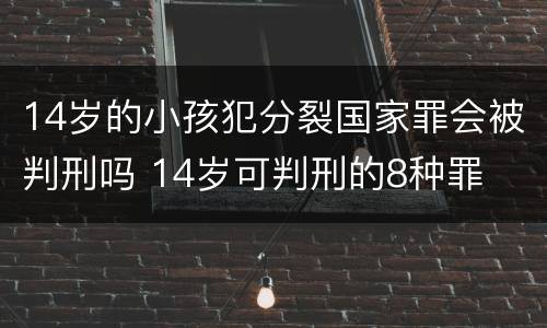 14岁的小孩犯分裂国家罪会被判刑吗 14岁可判刑的8种罪