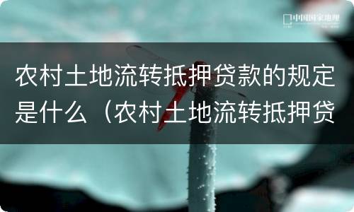 农村土地流转抵押贷款的规定是什么（农村土地流转抵押贷款的规定是什么呢）