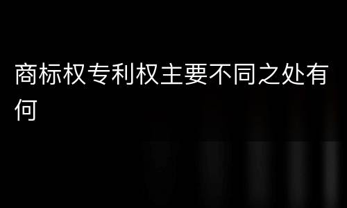 商标权专利权主要不同之处有何