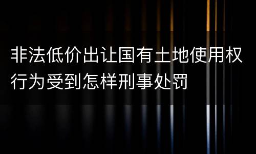 非法低价出让国有土地使用权行为受到怎样刑事处罚