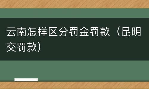 云南怎样区分罚金罚款（昆明交罚款）