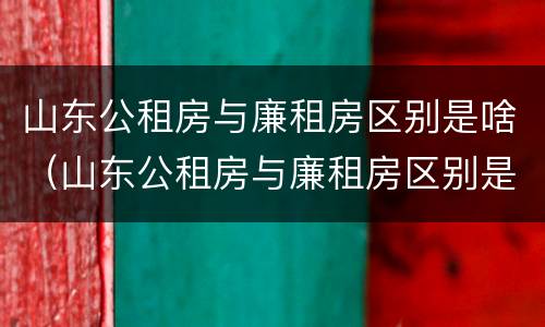 山东公租房与廉租房区别是啥（山东公租房与廉租房区别是啥呀）