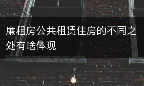 廉租房公共租赁住房的不同之处有啥体现