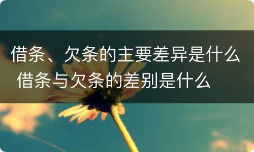 借条、欠条的主要差异是什么 借条与欠条的差别是什么