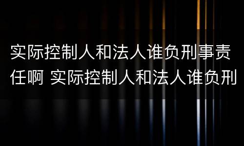 实际控制人和法人谁负刑事责任啊 实际控制人和法人谁负刑事责任啊