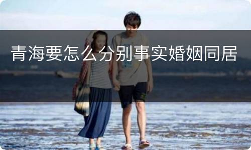 青海要怎么分别事实婚姻同居