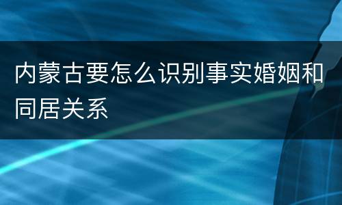 内蒙古要怎么识别事实婚姻和同居关系