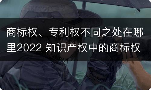 商标权、专利权不同之处在哪里2022 知识产权中的商标权