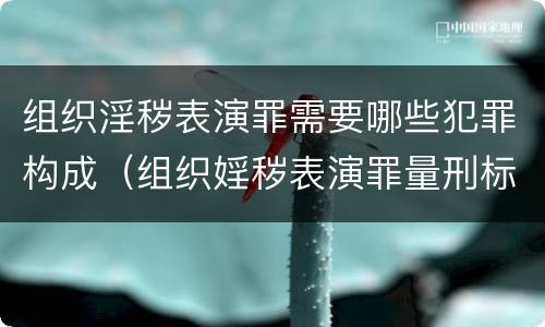 组织淫秽表演罪需要哪些犯罪构成（组织婬秽表演罪量刑标准）