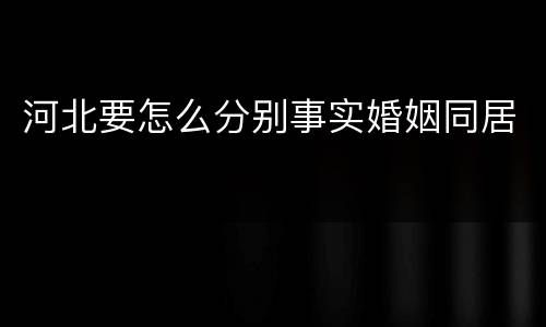 河北要怎么分别事实婚姻同居