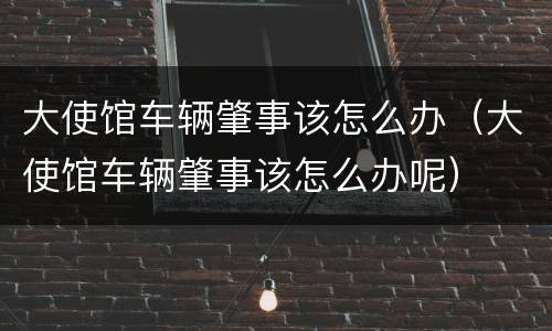 大使馆车辆肇事该怎么办（大使馆车辆肇事该怎么办呢）