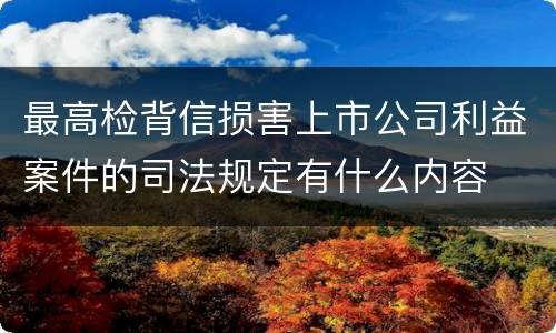 最高检背信损害上市公司利益案件的司法规定有什么内容