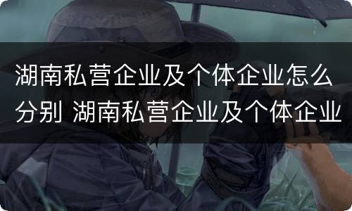 湖南私营企业及个体企业怎么分别 湖南私营企业及个体企业怎么分别的