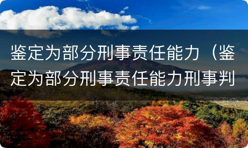 鉴定为部分刑事责任能力（鉴定为部分刑事责任能力刑事判决书）