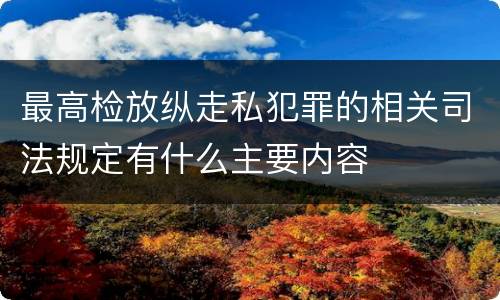 最高检放纵走私犯罪的相关司法规定有什么主要内容