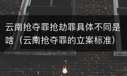 云南抢夺罪抢劫罪具体不同是啥（云南抢夺罪的立案标准）