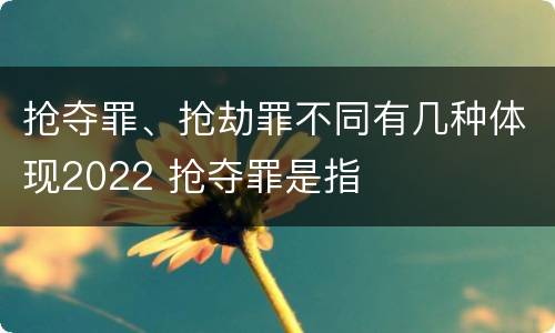 抢夺罪、抢劫罪不同有几种体现2022 抢夺罪是指