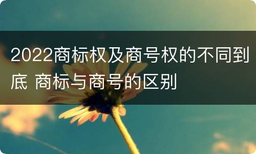 2022商标权及商号权的不同到底 商标与商号的区别