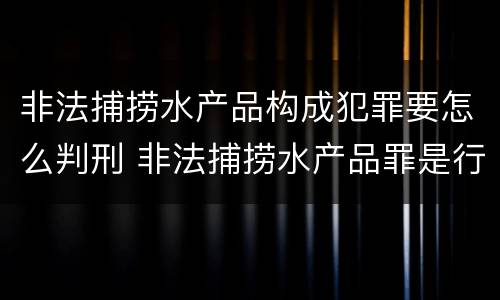 非法捕捞水产品构成犯罪要怎么判刑 非法捕捞水产品罪是行为犯吗