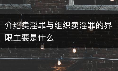 介绍卖淫罪与组织卖淫罪的界限主要是什么