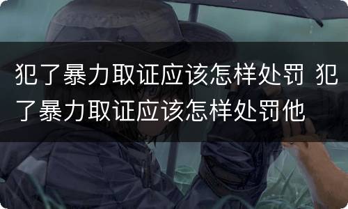 犯了暴力取证应该怎样处罚 犯了暴力取证应该怎样处罚他