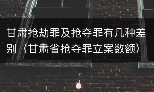 甘肃抢劫罪及抢夺罪有几种差别（甘肃省抢夺罪立案数额）