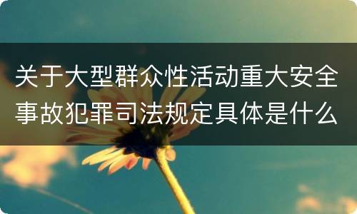 关于大型群众性活动重大安全事故犯罪司法规定具体是什么重要内容