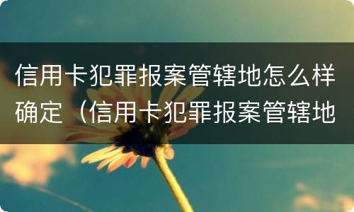 信用卡犯罪报案管辖地怎么样确定（信用卡犯罪报案管辖地怎么样确定的）