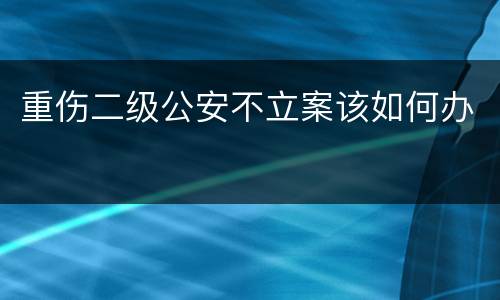 重伤二级公安不立案该如何办