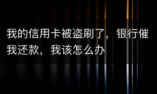 我的信用卡被盗刷了，银行催我还款，我该怎么办