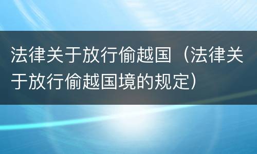 法律关于放行偷越国（法律关于放行偷越国境的规定）