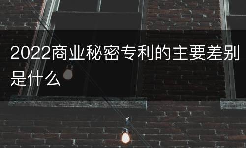 2022商业秘密专利的主要差别是什么