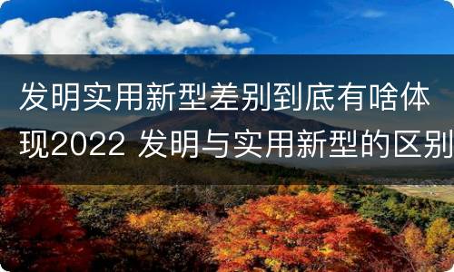 发明实用新型差别到底有啥体现2022 发明与实用新型的区别有