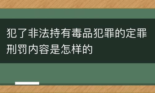 犯了非法持有毒品犯罪的定罪刑罚内容是怎样的