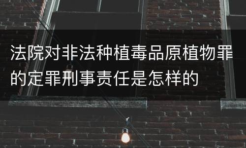 法院对非法种植毒品原植物罪的定罪刑事责任是怎样的