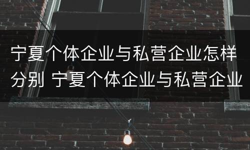 宁夏个体企业与私营企业怎样分别 宁夏个体企业与私营企业怎样分别认定