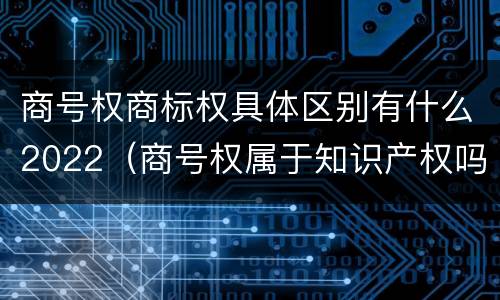 商号权商标权具体区别有什么2022（商号权属于知识产权吗）