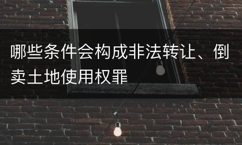 哪些条件会构成非法转让、倒卖土地使用权罪