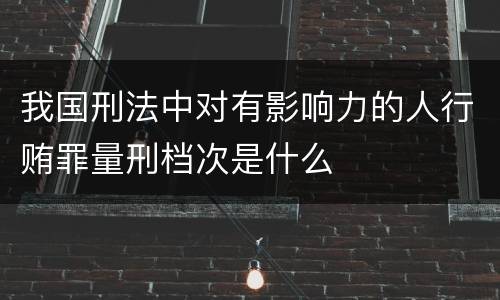 我国刑法中对有影响力的人行贿罪量刑档次是什么