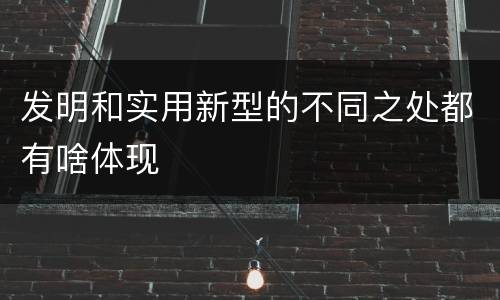 发明和实用新型的不同之处都有啥体现