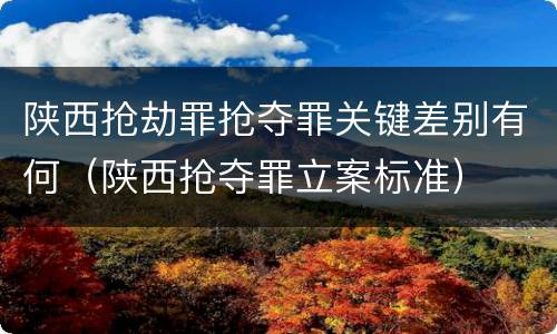 陕西抢劫罪抢夺罪关键差别有何（陕西抢夺罪立案标准）